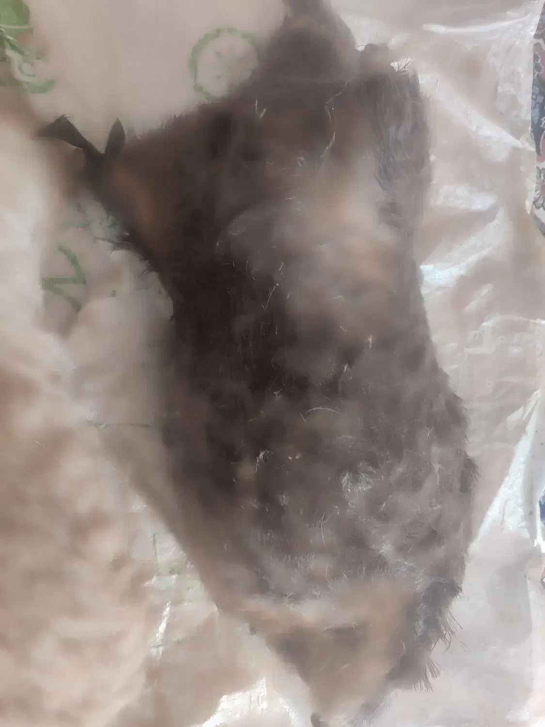 هیزه پنج و هفت کیلویی|ظروف نگهدارنده، پلاستیکی، یک‌بارمصرف|اندیمشک, |دیوار