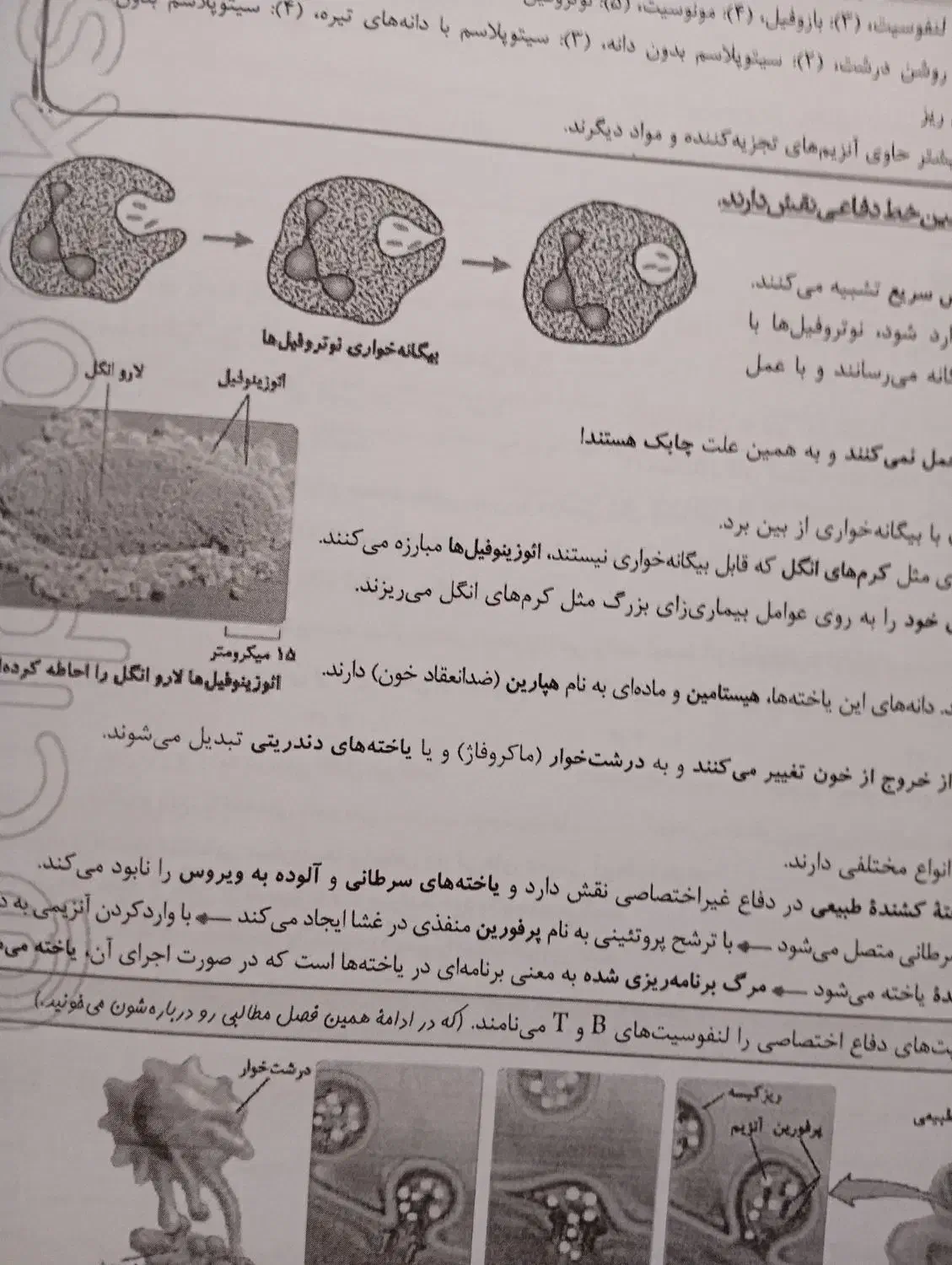 کتاب کمک درسی یازدهم|لوازم التحریر|سنقر, |دیوار