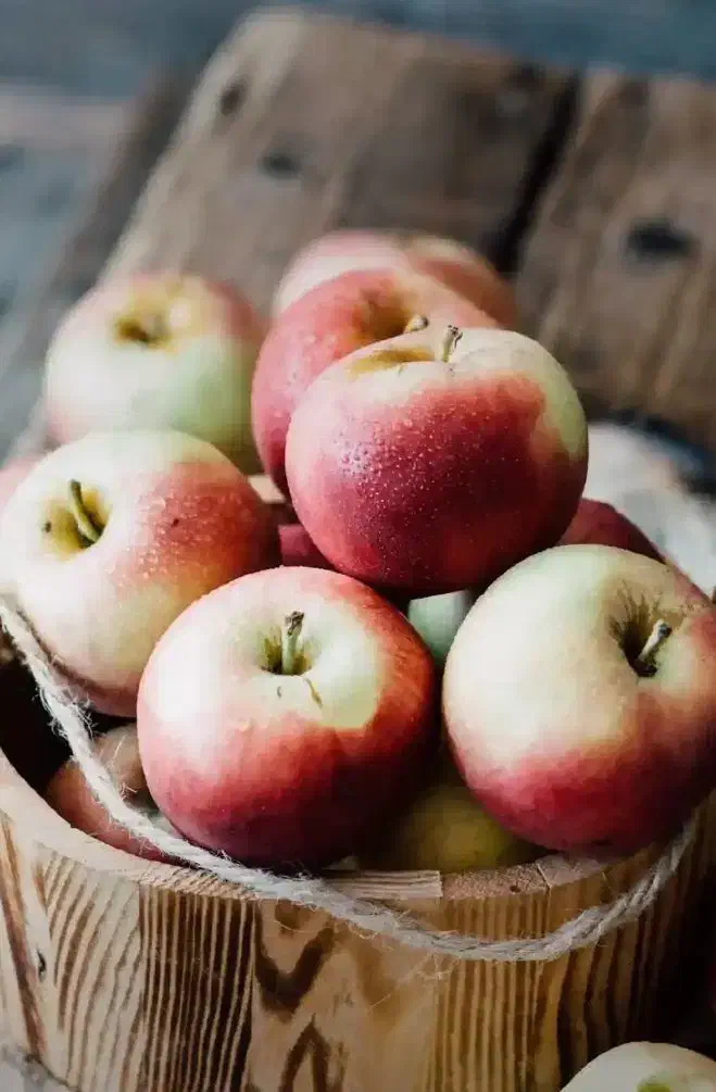 نظافت منازل - راه پله - مراقبت از سالمند|خدمات نظافت|پیر بکران, |دیوار