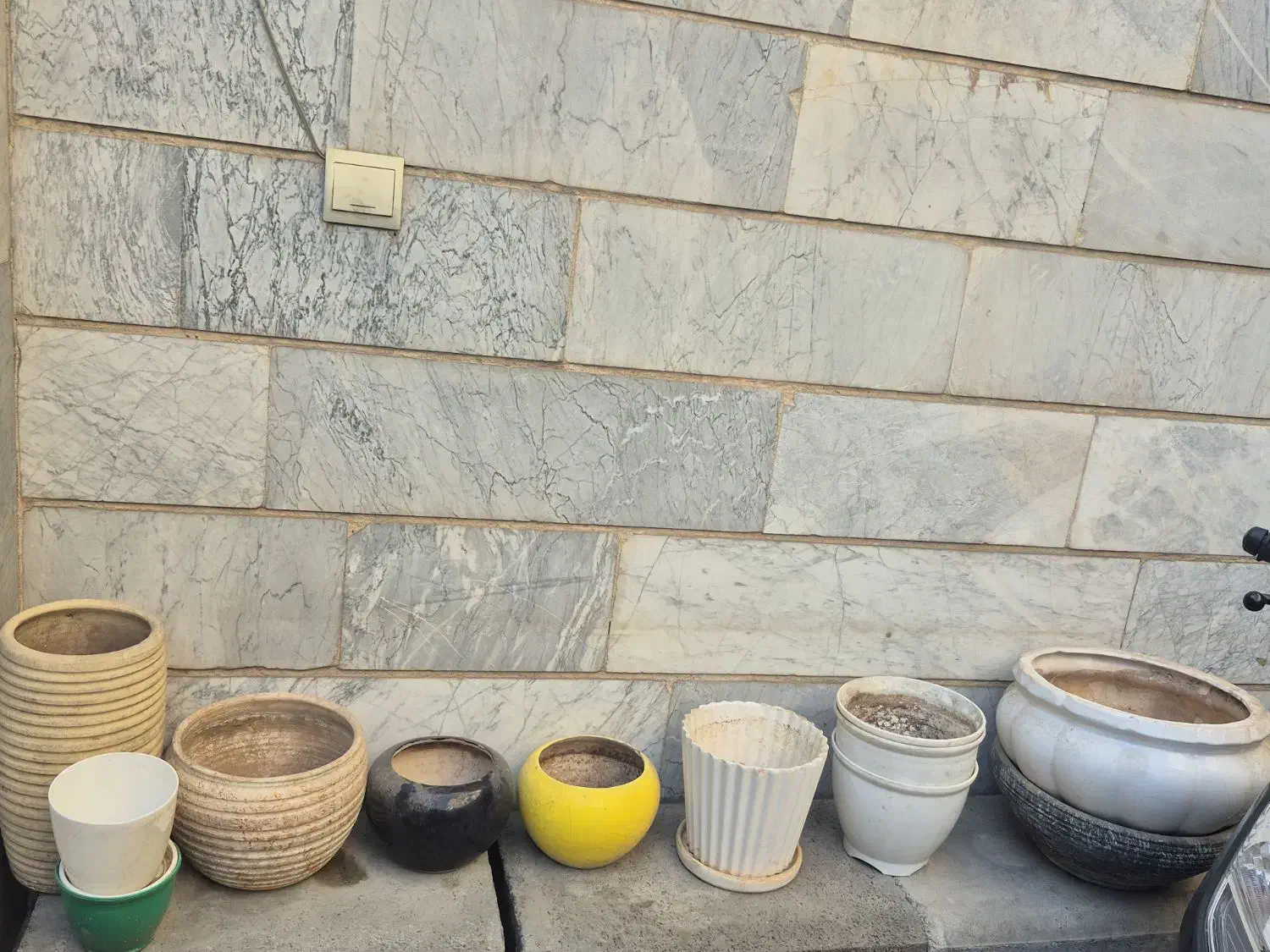 گلدان|گل و گیاه طبیعی|تهران, والفجر (افسریه)|دیوار