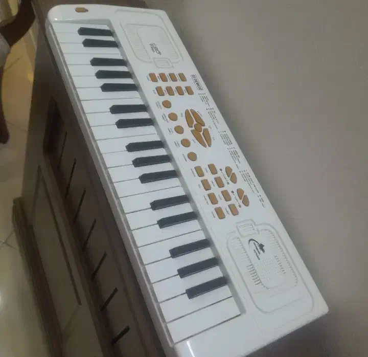 اورگ|پیانو، کیبورد، آکاردئون|ری, جوانمرد قصاب|دیوار