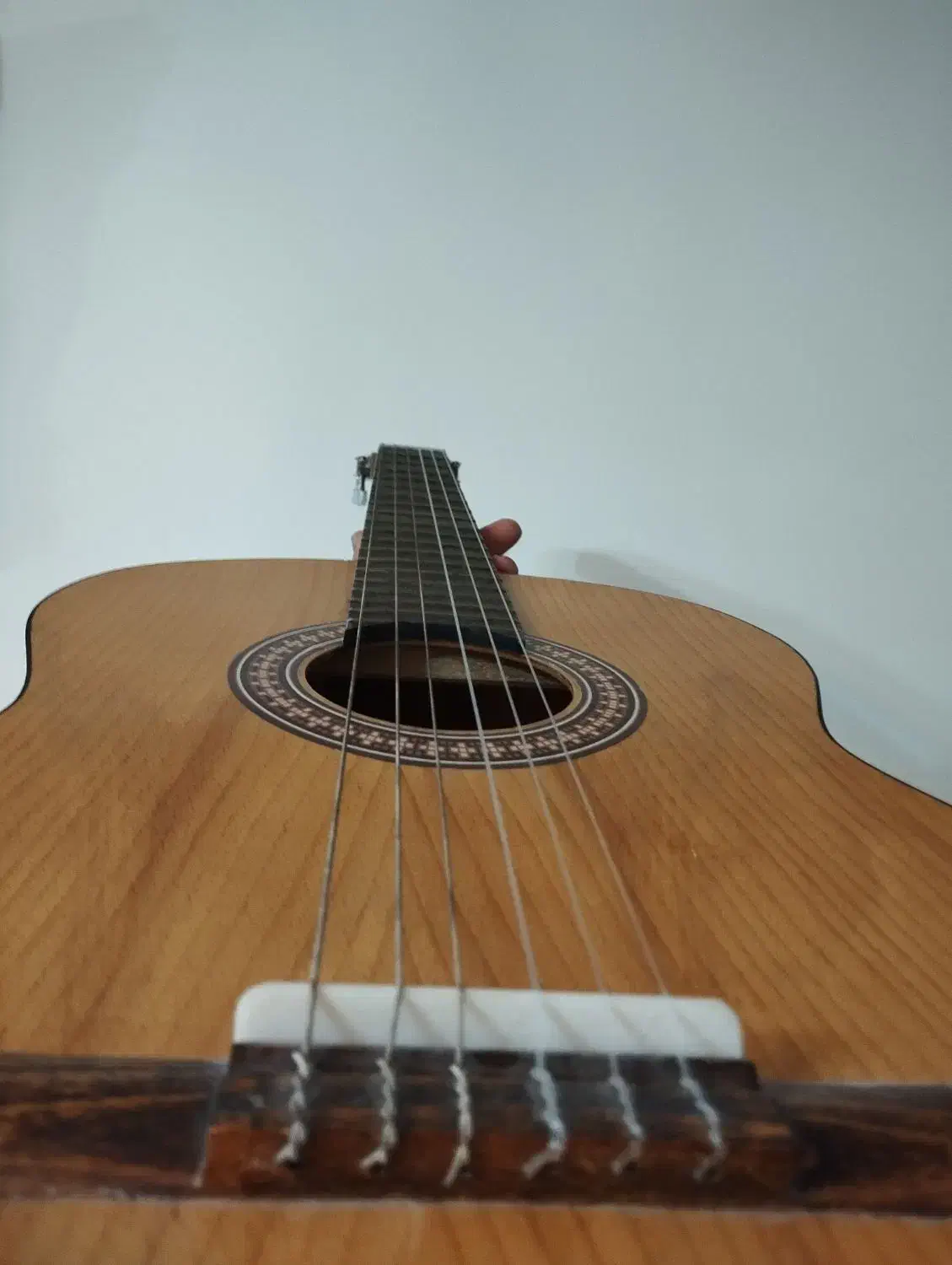 معاوضه گیتار با باغلاما|گیتار، بیس، امپلیفایر|تبریز, |دیوار