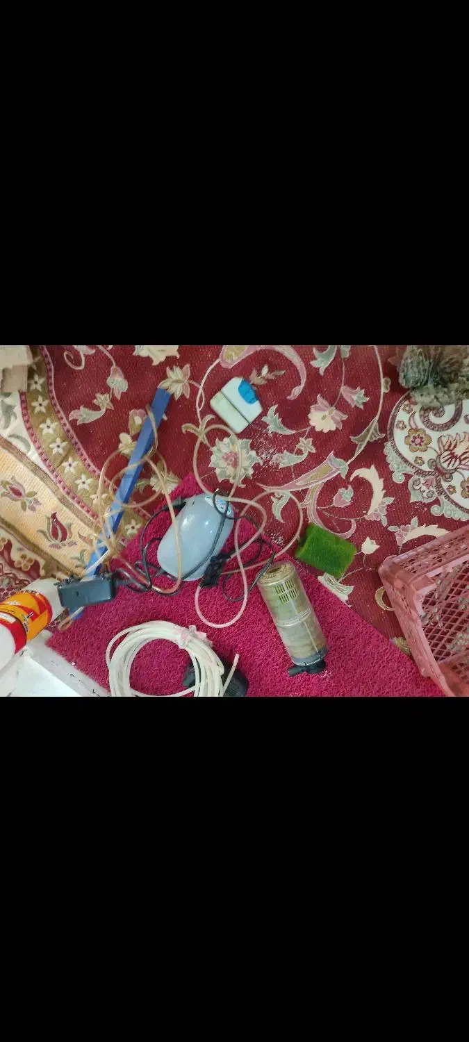 اکواریم با لوازم|ماهی|همدان, |دیوار