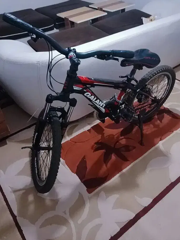 دوچرخه گالانت سایز۲۰|دوچرخه، اسکیت، اسکوتر|گنبد کاووس, |دیوار