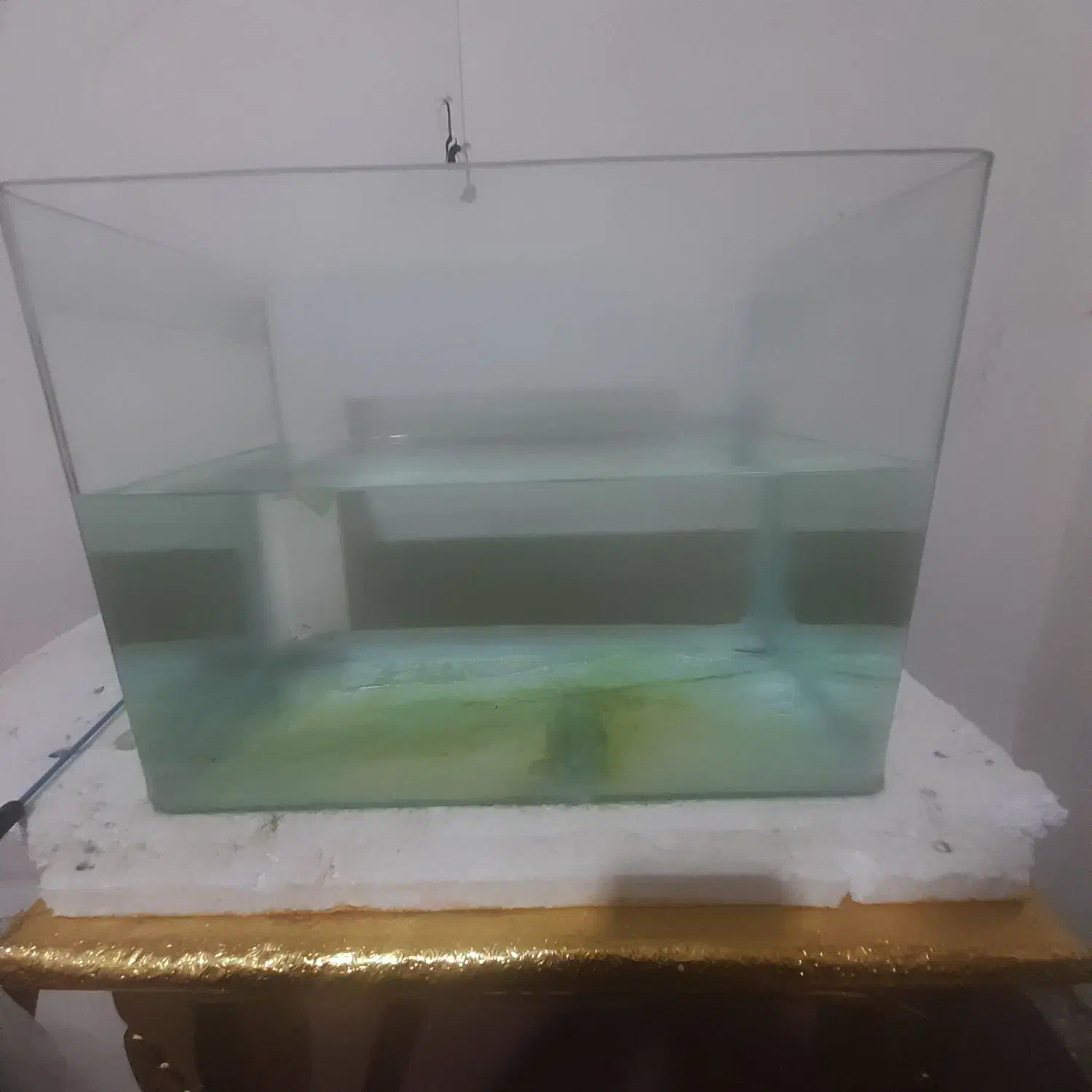 ۲عدد اکواریوم دونه ای ۲۵۰|ماهی|پاکدشت, پاکدشت (مامازند)|دیوار