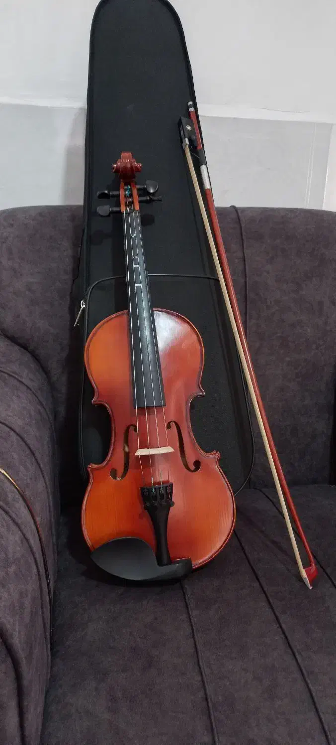 ویالون|ویولن|شیراز, گلکوب|دیوار