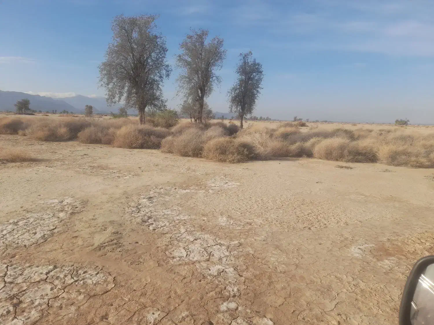 اجاره ۱۰ ساعت  اب بازمین جهت کشت صیفی جات|اجارهٔ دفتر صنعتی، کشاورزی، تجاری|فاریاب, |دیوار