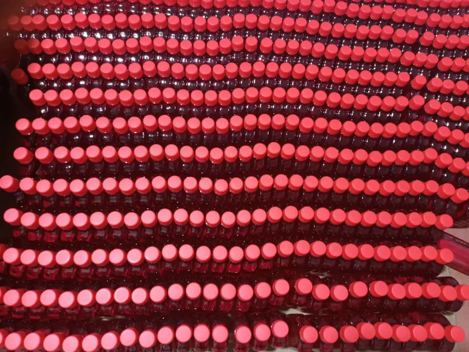 عصاره زعفران و پودر زعفران|خوردنی و آشامیدنی|ری, علایین|دیوار