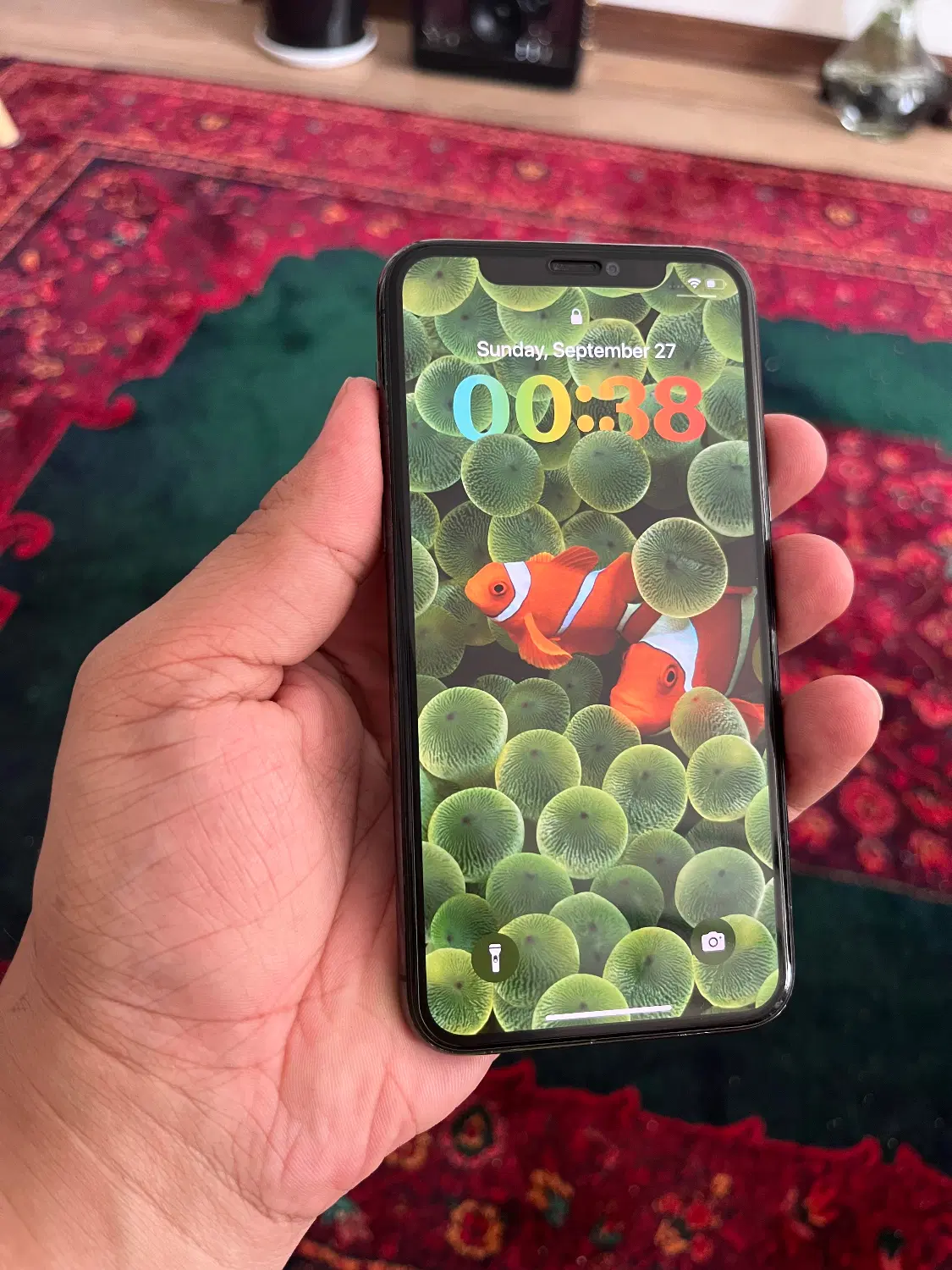 iPhone 11pro 256 /B100%|موبایل|پرند, فاز ۵|دیوار