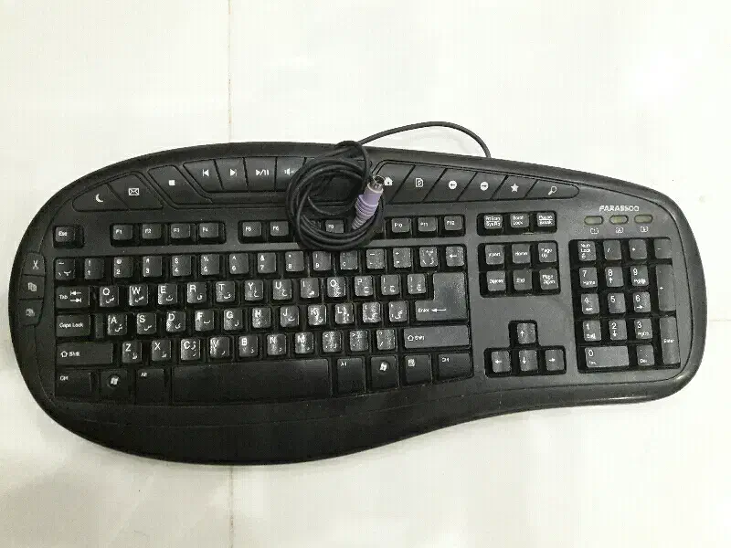 کیبورد FARASOO|قطعات و لوازم جانبی رایانه|رشت, کاکتوس|دیوار