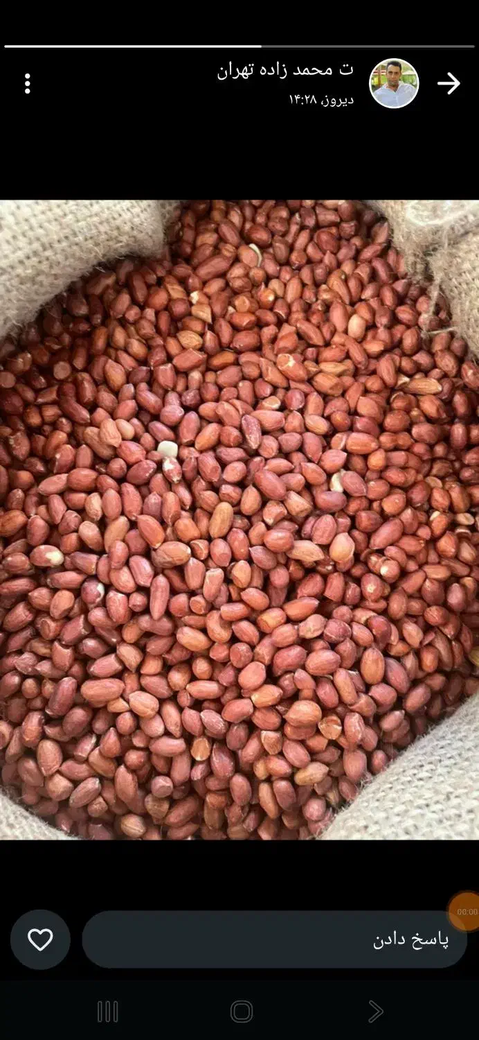 بادام هندی  کپسولی 4050|عمده‌فروشی|اصفهان, شهرک صنعتی جی|دیوار