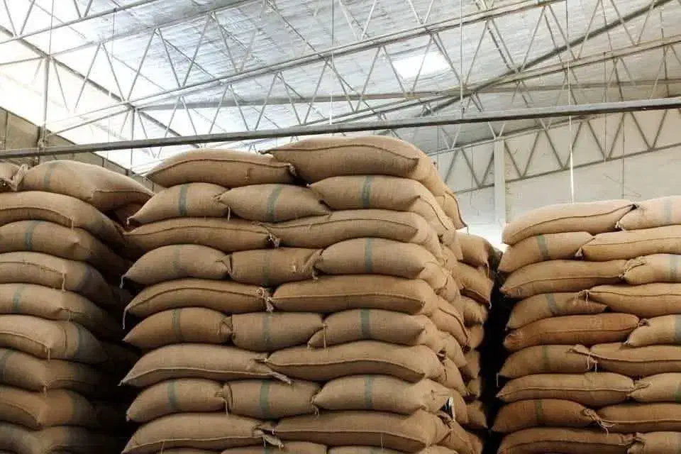 فروش و واردات دانه سبز EP1|عمدهفروشی|تهران, اوین|دیوار