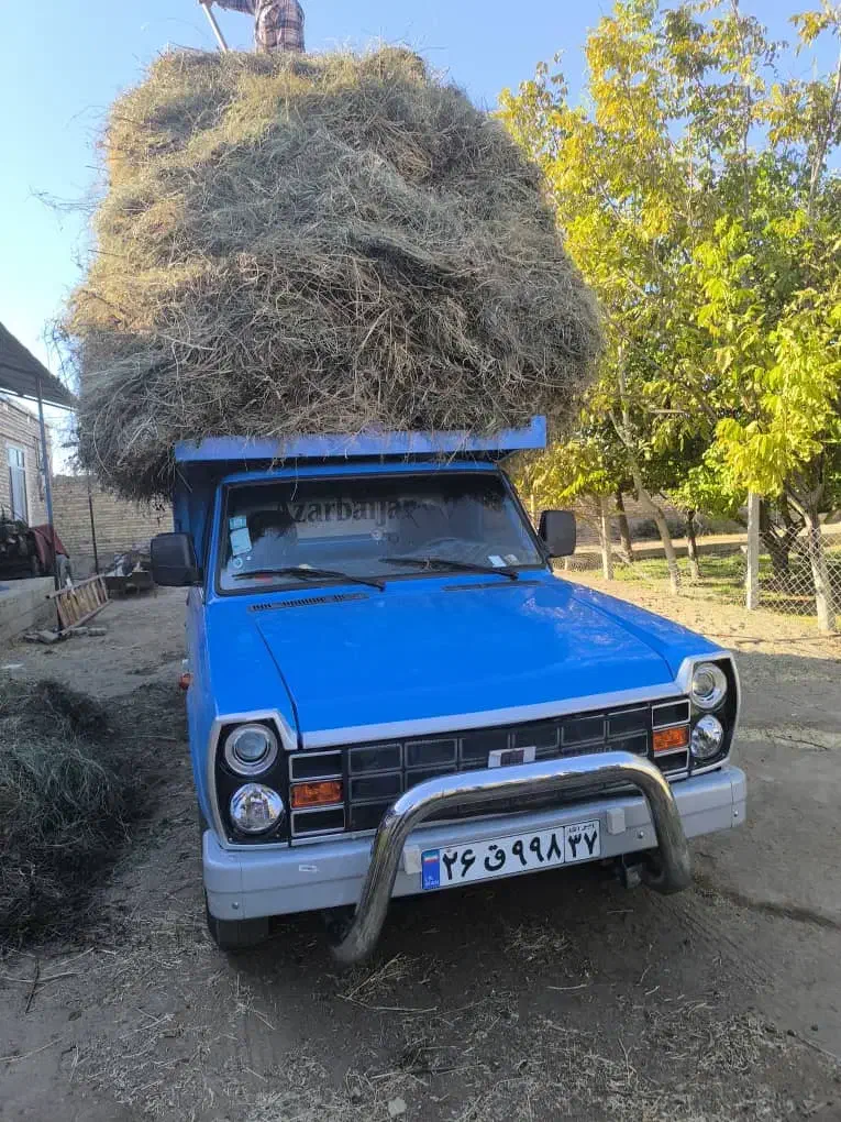 خدمات حمل و نقل|خدمات حمل و نقل|سلماس, |دیوار