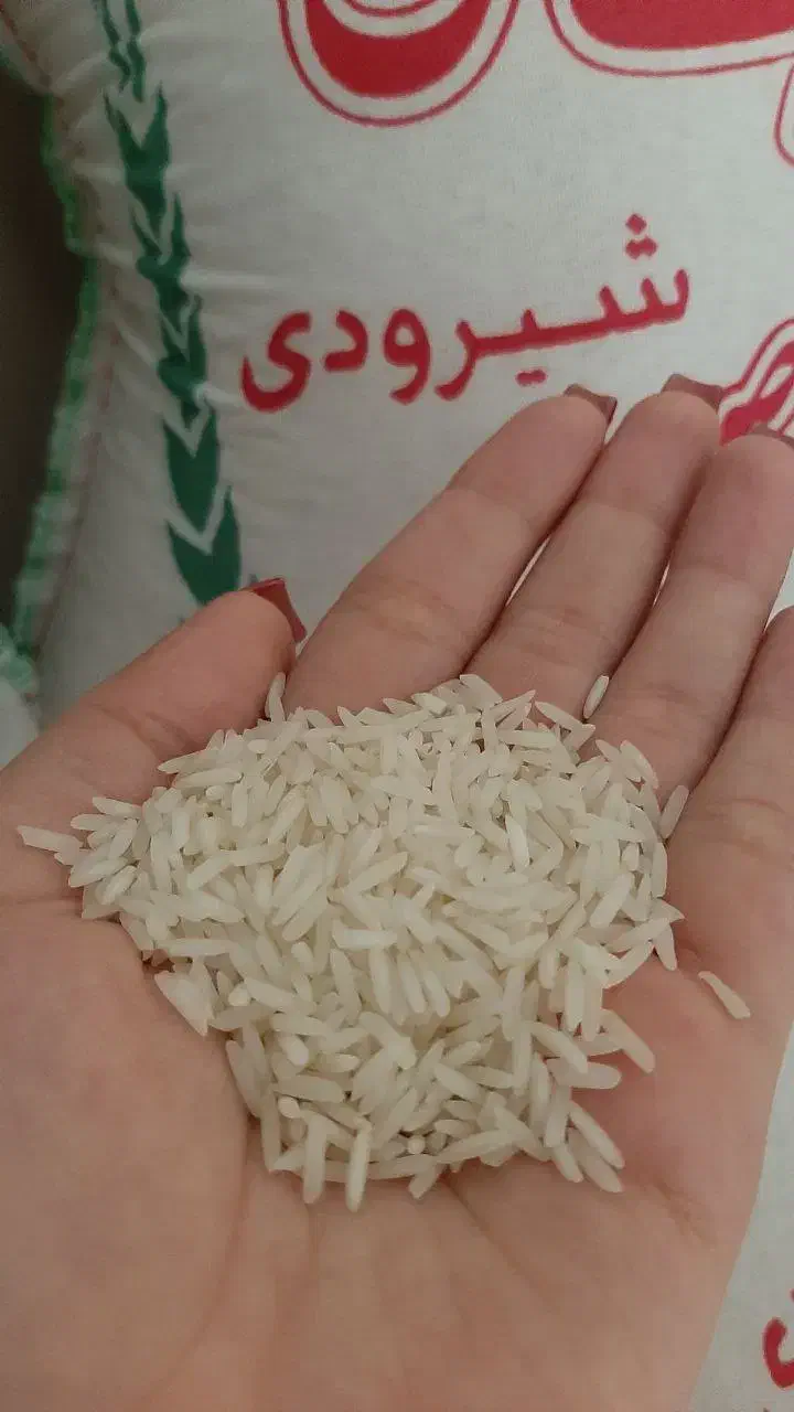 برنج شیرودی درجه یک فریدون‌کنار|خوردنی و آشامیدنی|اراک, |دیوار