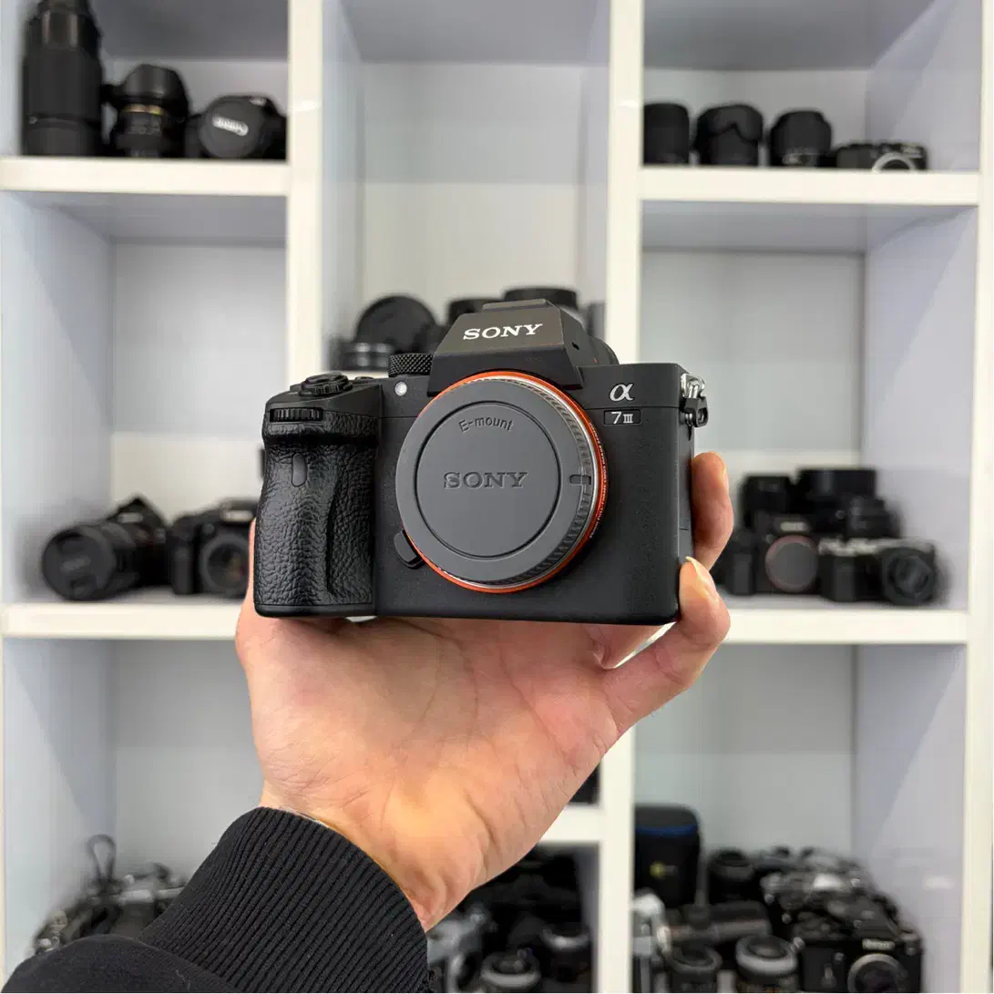 Sony A7 iii|دوربین عکاسی و فیلم‌برداری|تهران, فردوسی|دیوار