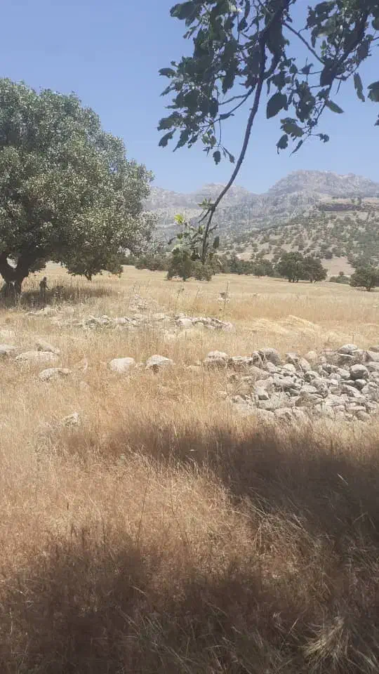 زمین درگلگیر|فروش زمین و ملک کلنگی|مسجد سلیمان, |دیوار