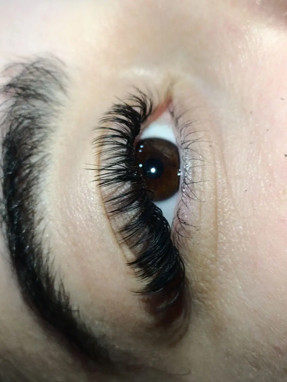 اکستنشن مژه|خدمات آرایشگری و زیبایی|سنندج, |دیوار