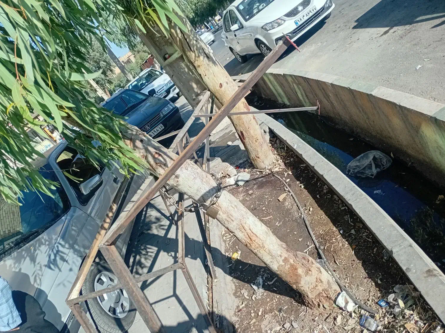 طبق میوه فروشی|فروشگاه و مغازه|قم, حنیف نژاد|دیوار