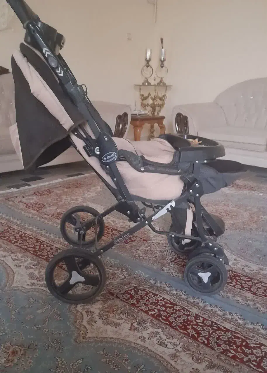 کالسکه دلیجان|کالسکه و لوازم جانبی|بروجرد, |دیوار