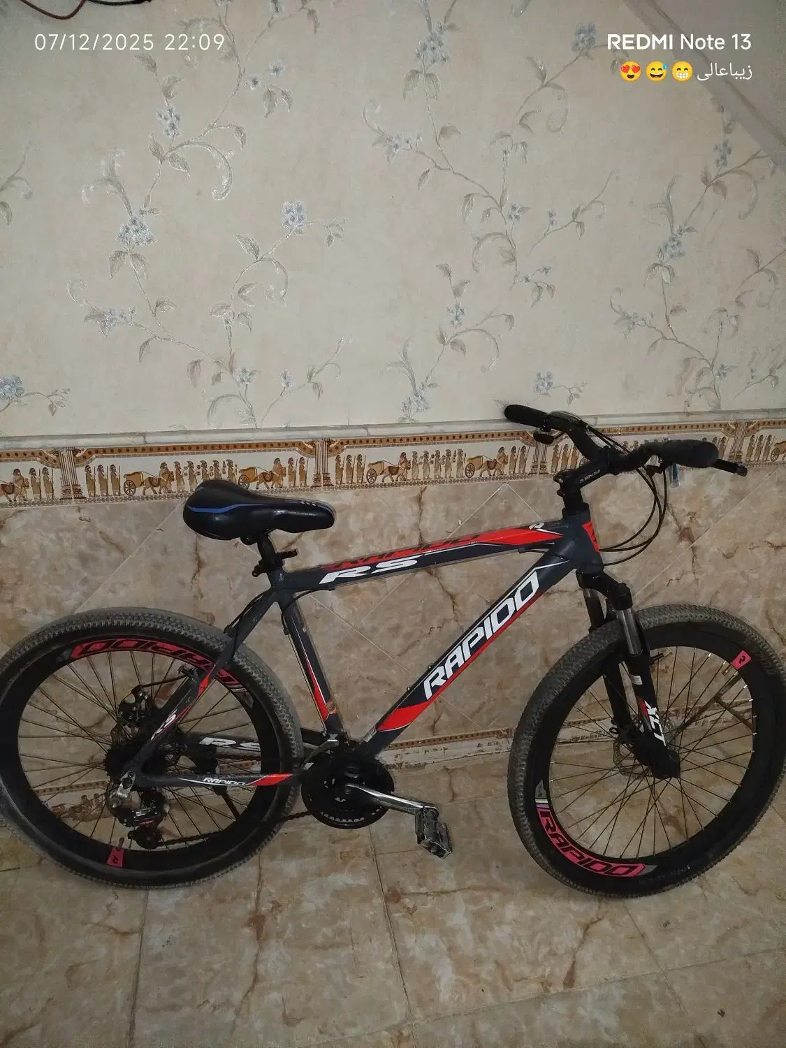 دوچرخه|دوچرخه، اسکیت، اسکوتر|فامنین, |دیوار