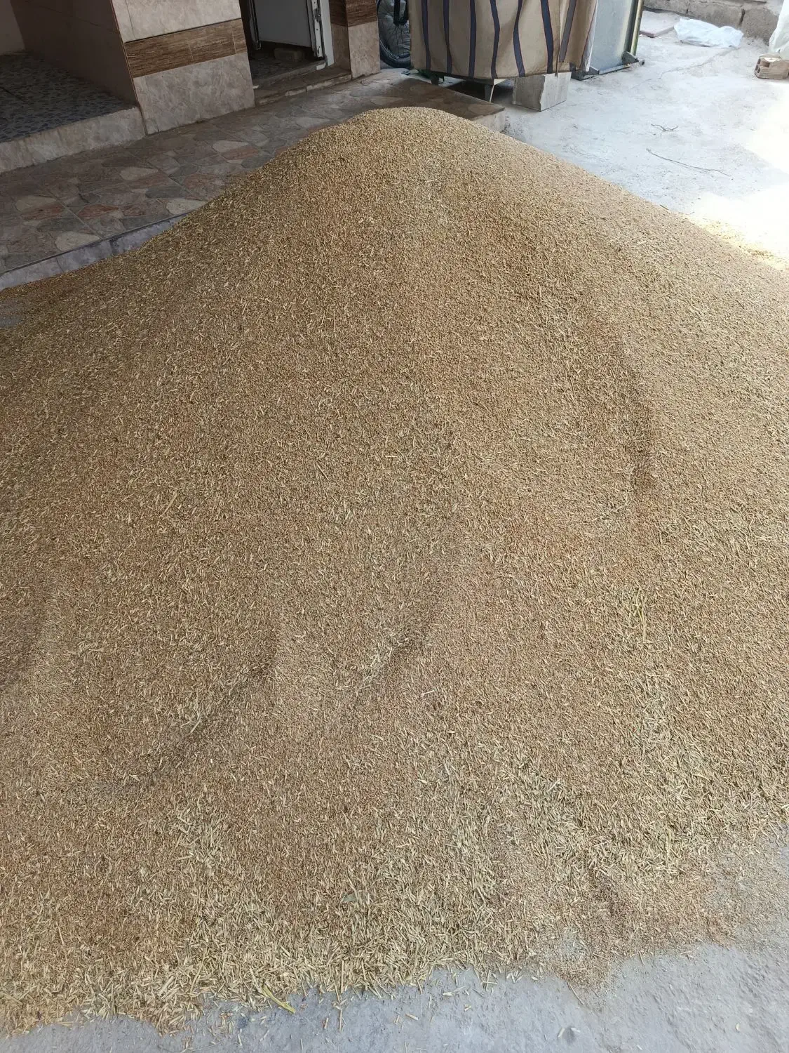 گندم ۲۵۰۰۰|عمده‌فروشی|بندر ماهشهر, |دیوار