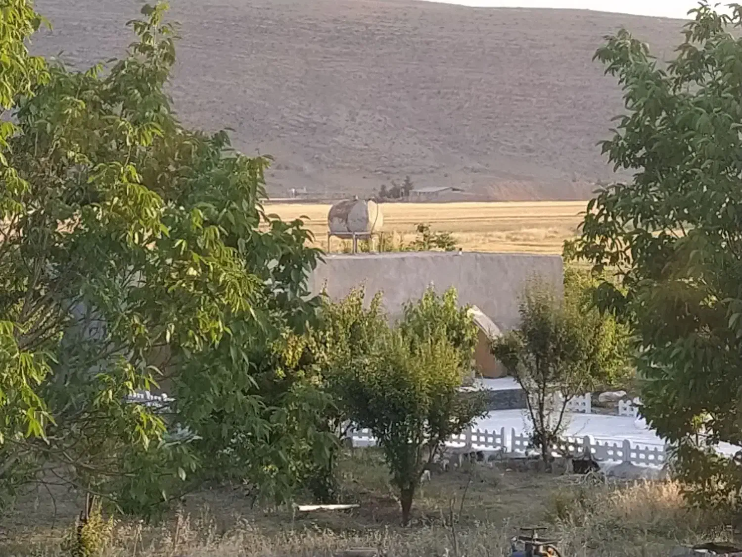 قطعه زمین کشاورزی|اجارهٔ دفتر صنعتی، کشاورزی، تجاری|سیدان, |دیوار