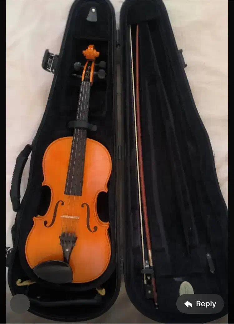 ویولون رودریچ پزولد آلمان (حرفه ای)|ویولن|تهران, صادقیه|دیوار