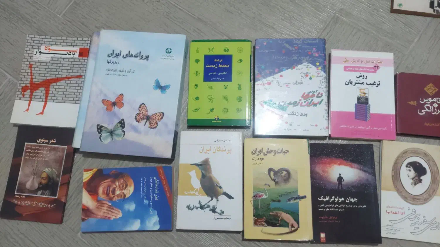 مجموعه ای از کتاب|کتاب و مجله آموزشی|رامسر, |دیوار
