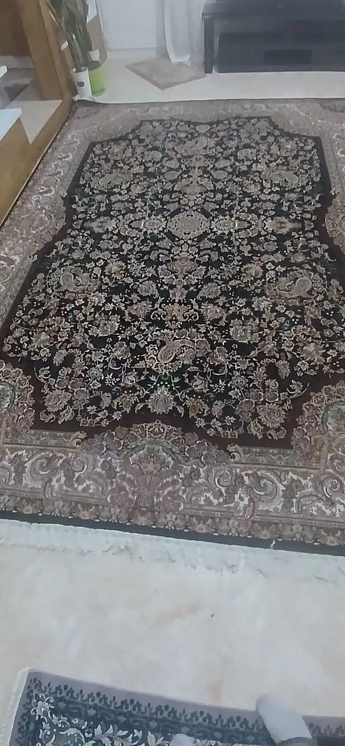 یک تخته فرش ۹ متری|فرش|هشتگرد, هشتگرد قدیم|دیوار