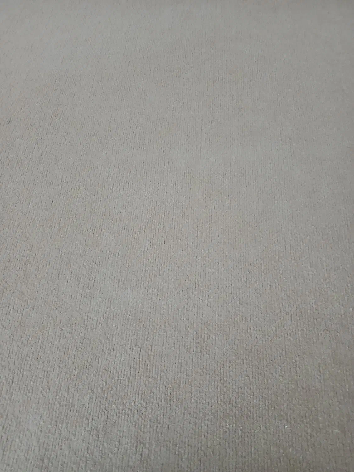 موکت|موکت|اردبیل, |دیوار