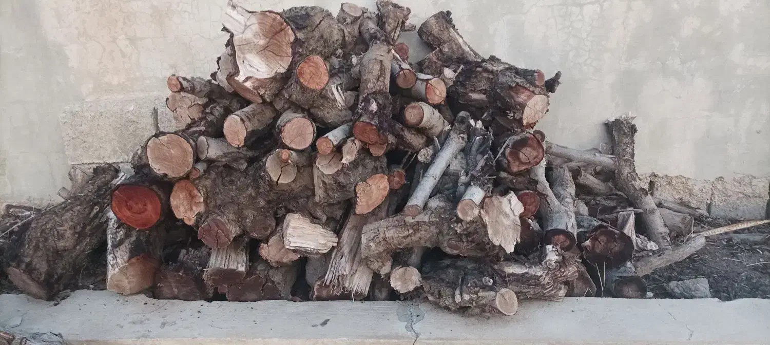 هیزم خشک ، چوب خشک شومینه و بخاری هیزمی|خدمات باغبانی و درختکاری|ارومیه, |دیوار