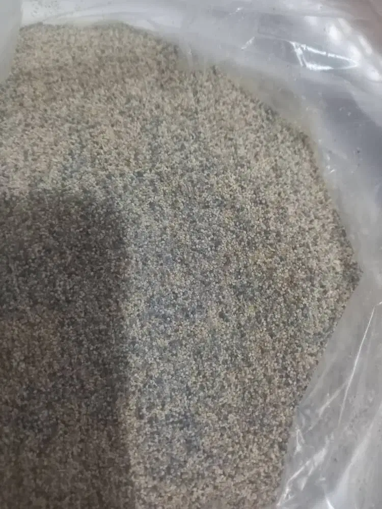 بذر دیم|لوازم جانبی حیوانات|کوهدشت, |دیوار