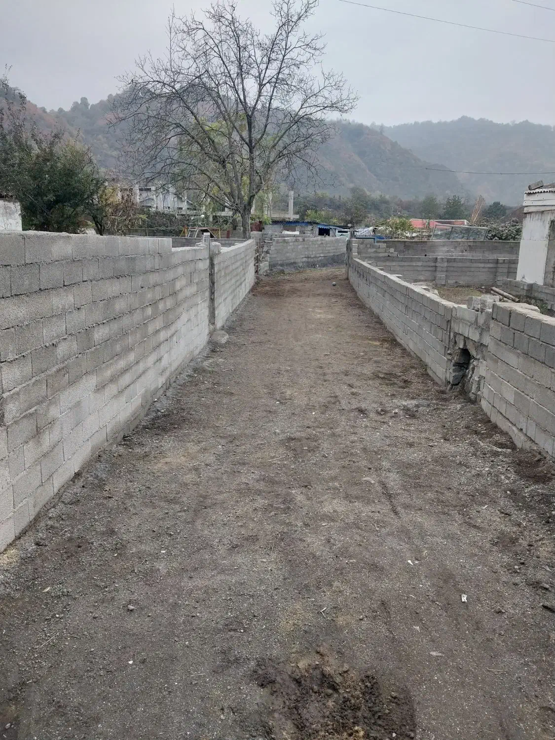 فروش باغ کیوی|فروش زمین و ملک کلنگی|چوبر, |دیوار