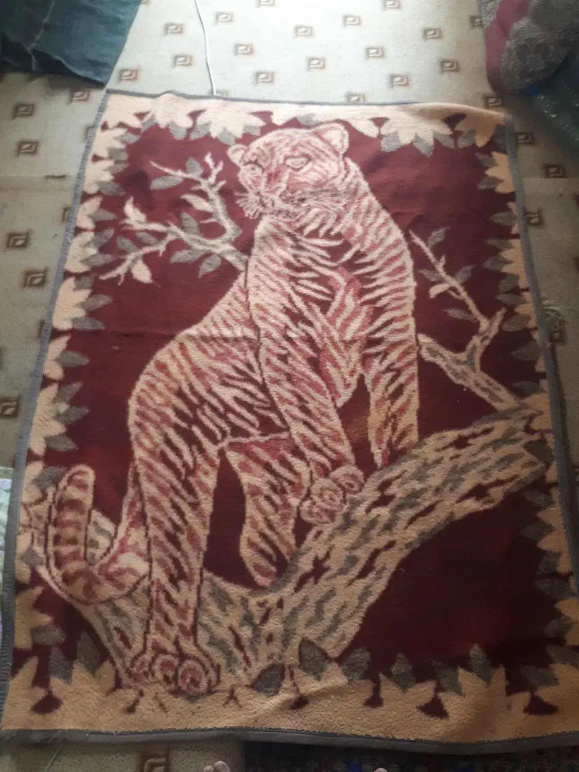 پتو پلنگی|رختخواب، بالش، پتو|گنبد کاووس, |دیوار