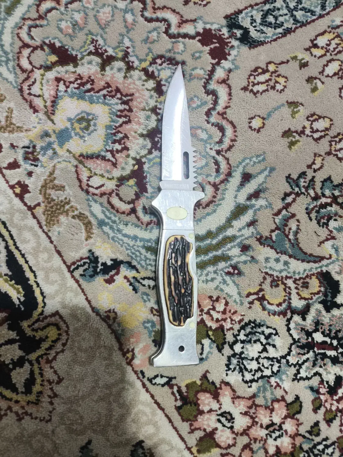 چاقو شاخ گوزنی استیل|کوهنوردی و کمپینگ|گرگان, |دیوار