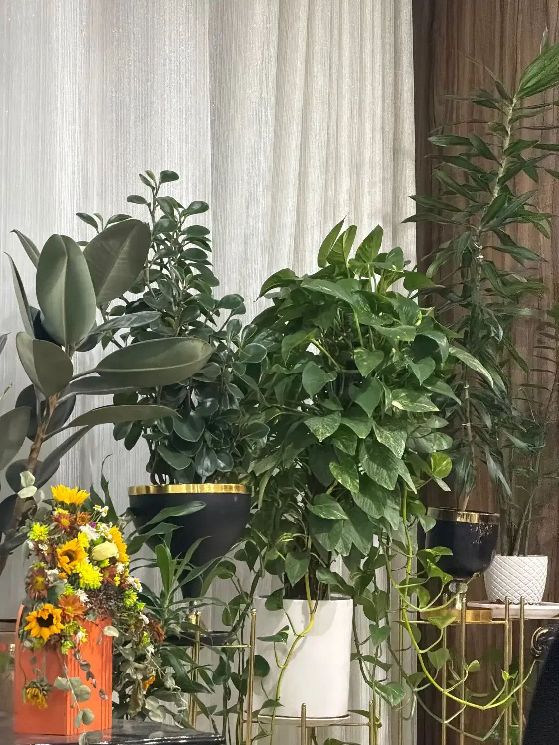 نیرو خانم شبانه روزی|استخدام سرایداری و نظافت|تهران, سعادت‌آباد|دیوار