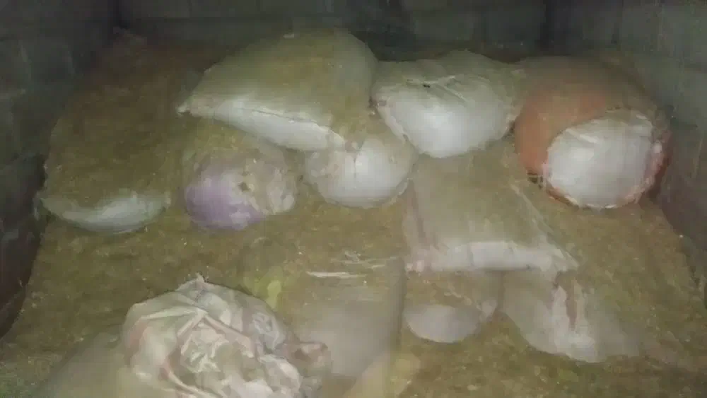 کاه|لوازم جانبی حیوانات|ایذه, |دیوار