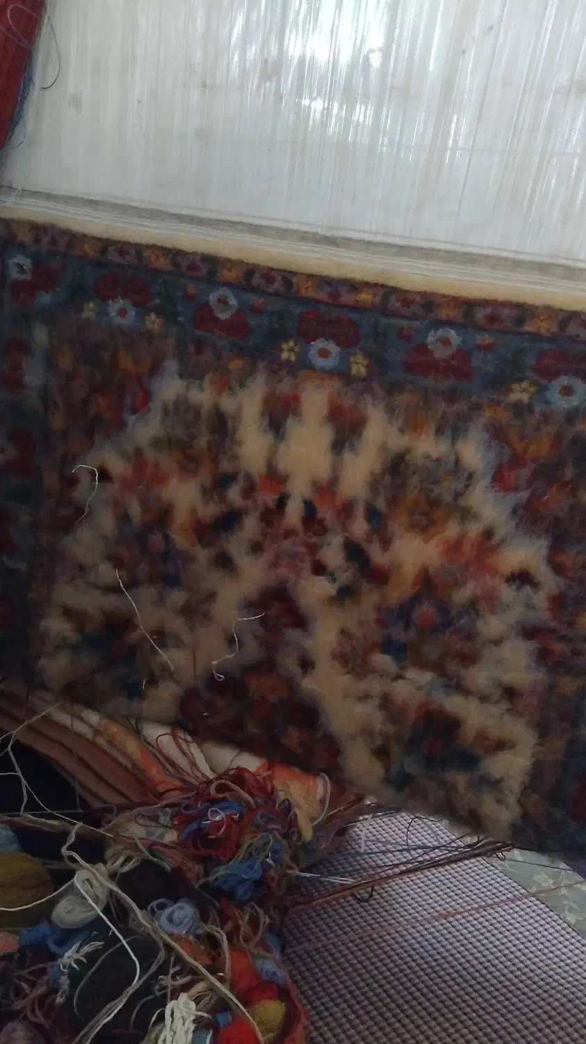 قالیچه نیمه کاره استاد بافت|فرش|ابهر, |دیوار