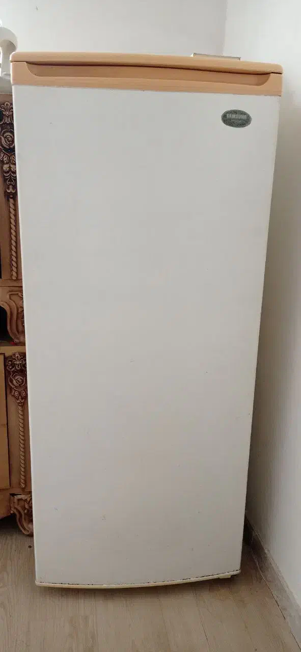 فریزر سامسونگ|یخچال و فریزر|رشت, پیرکلاچای|دیوار