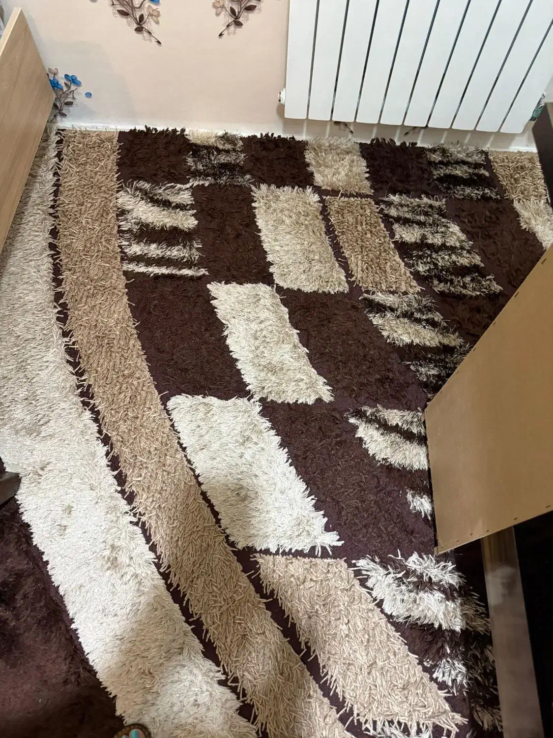 فرش ۴ متری|فرش|بندر انزلی, معلم|دیوار