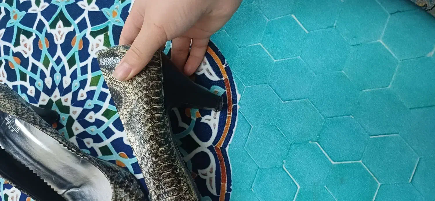 کفش های مجلسی|کیف، کفش، کمربند|الوند, |دیوار