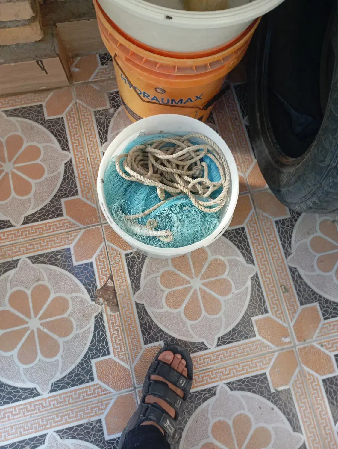 سلیه|ماهیگیری|آبادان, |دیوار