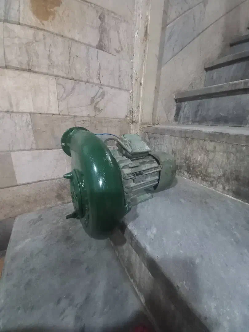 دواطلبانه|فعالیت داوطلبانه تحقیقاتی|دزفول, |دیوار