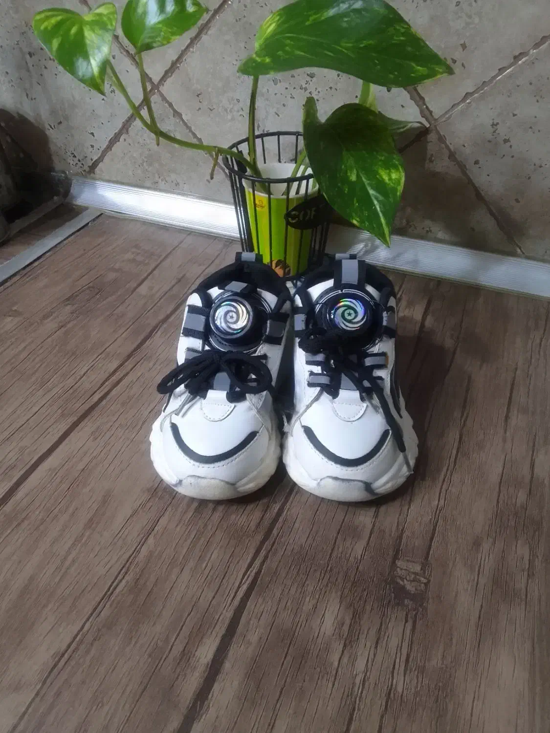 کتونی بچگانه|کفش و لباس بچه|آستانه اشرفیه, |دیوار