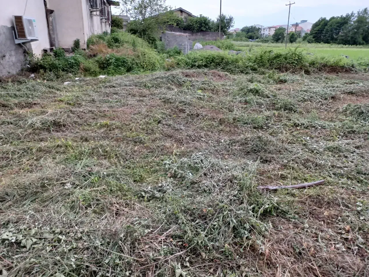 زمین مسکونی سند تک برگ در رودسر|فروش زمین و ملک کلنگی|رودسر, |دیوار