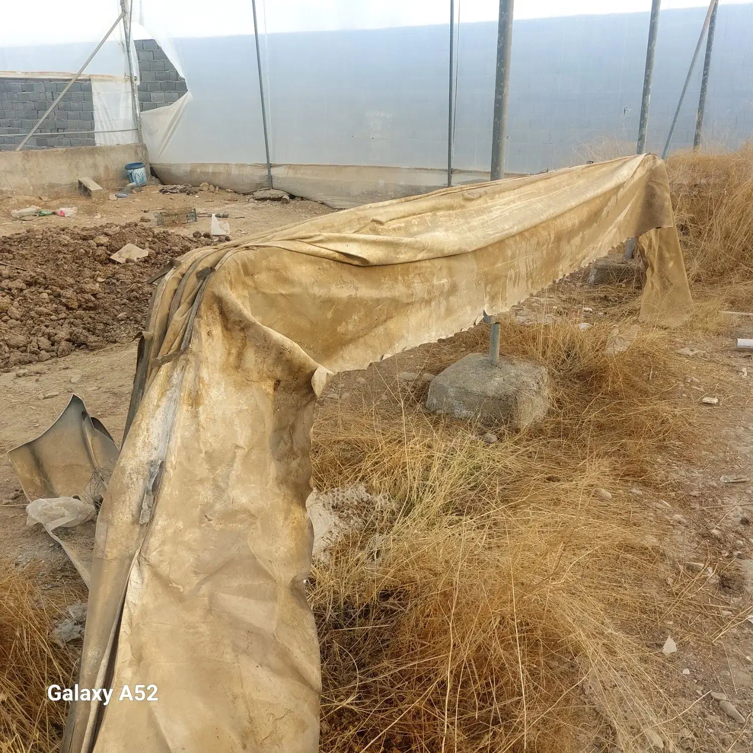 سایبان قدیمی  مغازه|فروشگاه و مغازه|پاکدشت, پاکدشت (مامازند)|دیوار