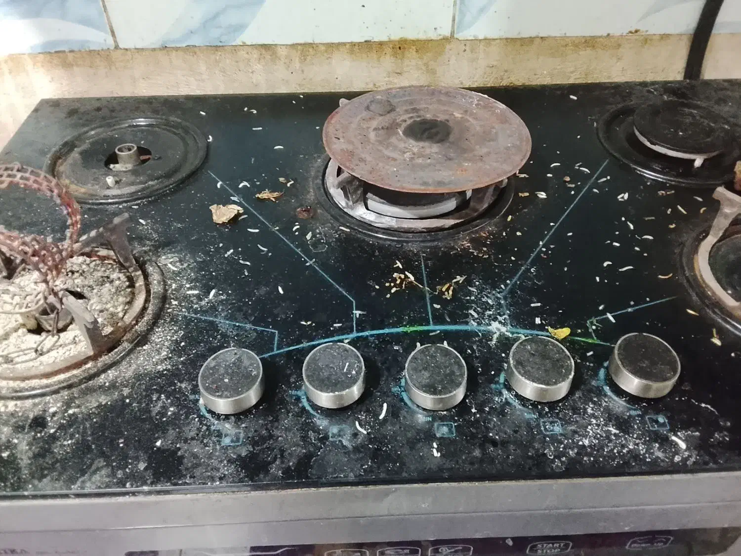 شرکت نظافتی|خدمات نظافت|مشهد, توس (بلوار توس)|دیوار