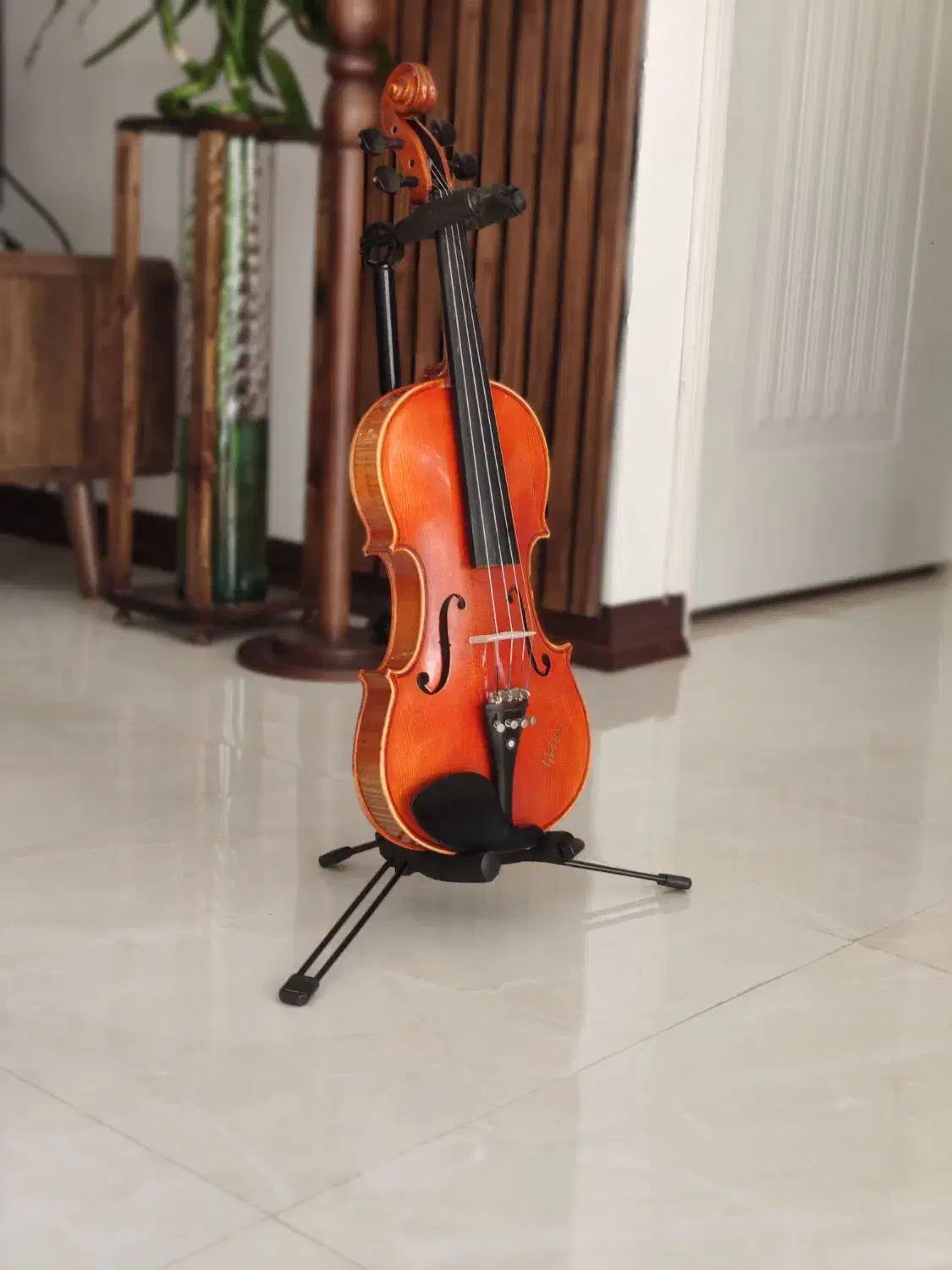 رناتو ۲۲۰همراه لوازم|ویولن|بابل, |دیوار