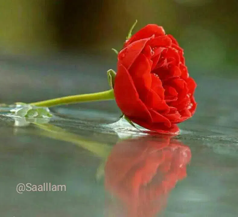 وام ازدواج|خدمات مالی، حسابداری، بیمه|کهنوج, |دیوار