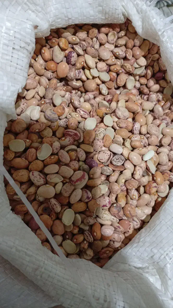 لوبیا چیتی شکسته60 درصدسالم|خوردنی و آشامیدنی|مشهد, نوید|دیوار